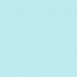 Meet your Posher, Sylvia